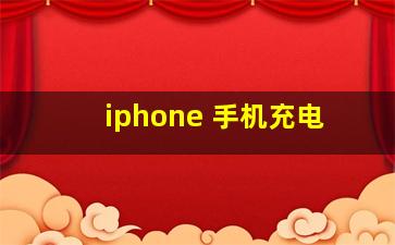 iphone 手机充电